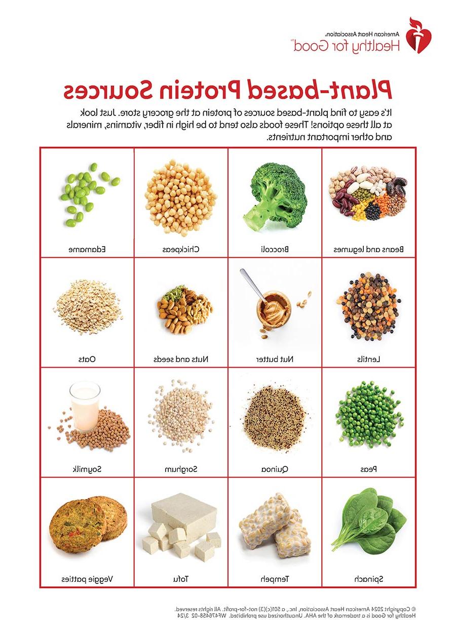 Sources of plant-based protein