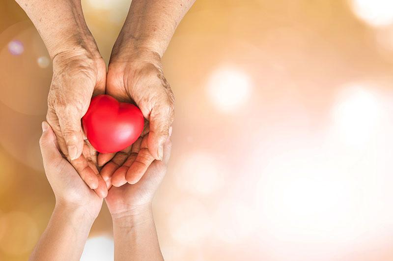 comforting hands holding heart shape